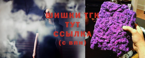 a pvp Няндома