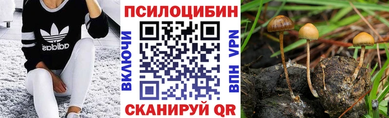 MEGA рабочий сайт  где можно купить наркотик  Сусуман  Псилоцибиновые грибы MAGIC MUSHROOMS 
